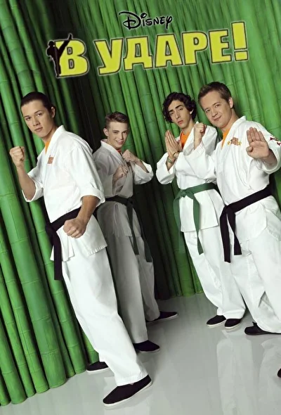 В ударе (2011)