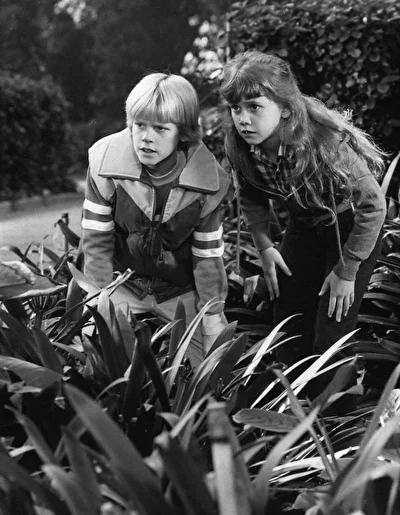 По ту сторону Ведьминой горы (1982)
