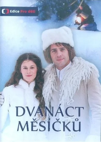 Двенадцать месяцев (2012)